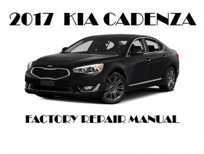 2017 Kia Cadenza repair manual