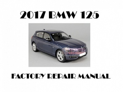 2017 BMW 125 repair manual