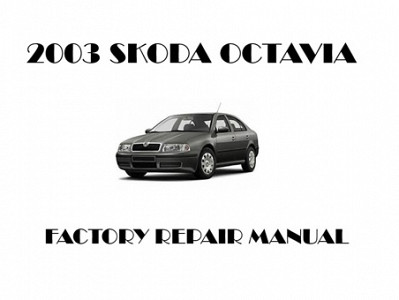2003 Skoda Octavia repair manual
