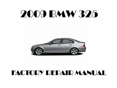 2009 BMW 325 repair manual