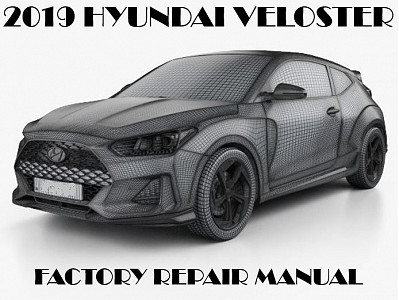 2019 Hyundai Veloster repair manual