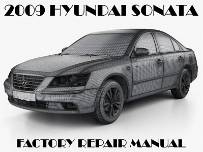 2009 Hyundai Sonata repair manual