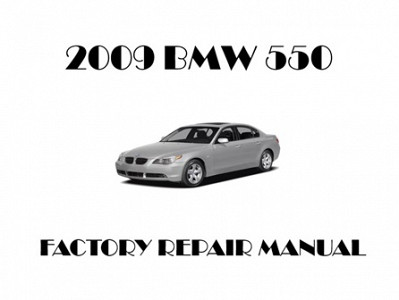 2009 BMW 550 repair manual