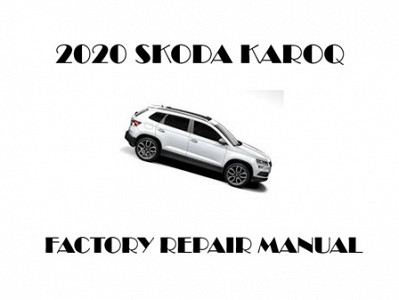 2020 Skoda Karoq repair manual