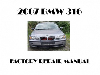 2007 BMW 316 repair manual