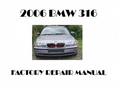 2006 BMW 316 repair manual