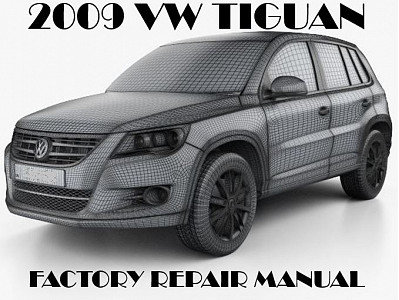 2009 Volkswagen Tiguan repair manual