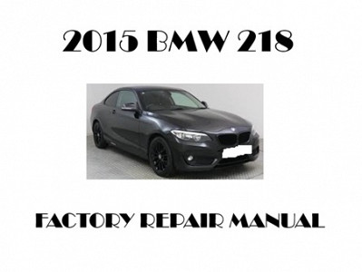 2015 BMW 218 repair manual