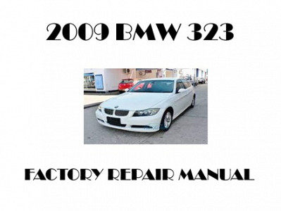 2009 BMW 323 repair manual