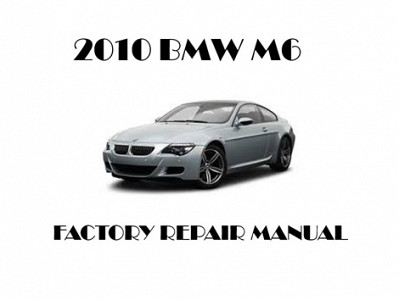 2010 BMW M6 repair manual