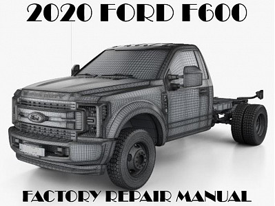 2020 Ford F-600 repair manual