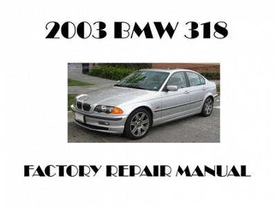 2003 BMW 318 repair manual