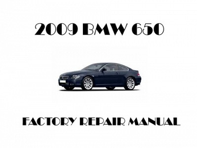 2009 BMW 650 repair manual