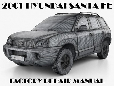 2001 Hyundai Santa Fe repair manual