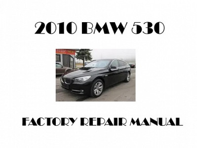 2010 BMW 530 repair manual