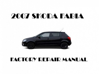 2007 Skoda Fabia repair manual