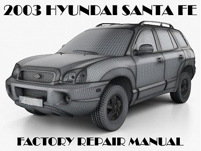 2003 Hyundai Santa Fe repair manual