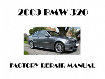 2009 BMW 320 repair manual