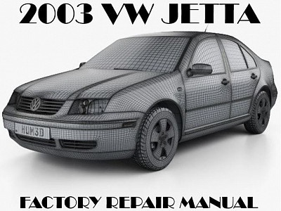 2003 Volkswagen Bora/Jetta repair manual