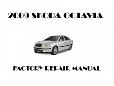 2009 Skoda Octavia repair manual