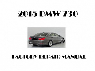 2015 BMW 730 repair manual