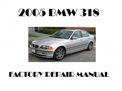 2005 BMW 318 repair manual