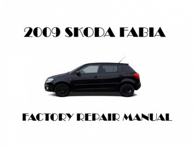 2009 Skoda Fabia repair manual