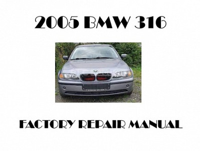 2005 BMW 316 repair manual