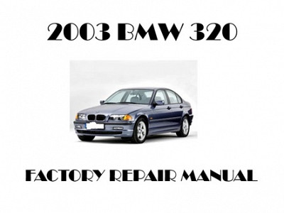 2003 BMW 320 repair manual