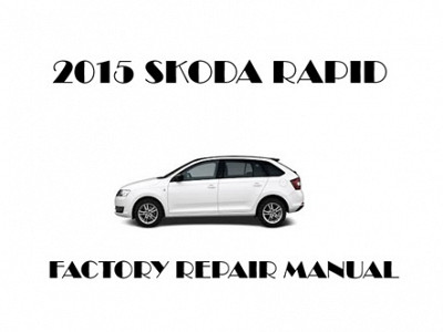 2015 Skoda Rapid repair manual