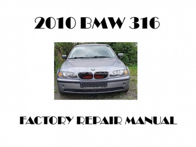 2010 BMW 316 repair manual