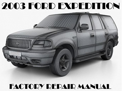 2003 Ford Expedition repair manual