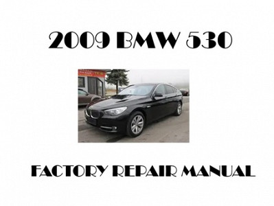 2009 BMW 530 repair manual