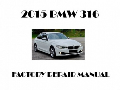 2015 BMW 316 repair manual