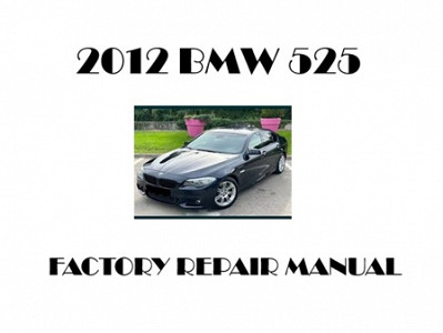 2012 BMW 525 repair manual