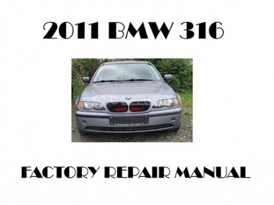 2011 BMW 316 repair manual