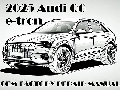 2025 Audi Q6 e-tron repair manual