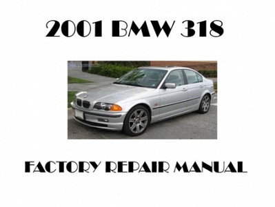 2001 BMW 318 repair manual