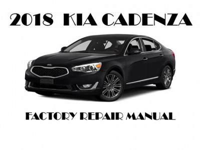 2018 Kia Cadenza repair manual