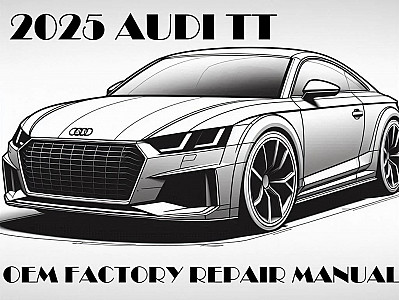 2025 Audi TT repair manual