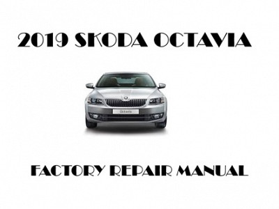 2019 Skoda Octavia repair manual