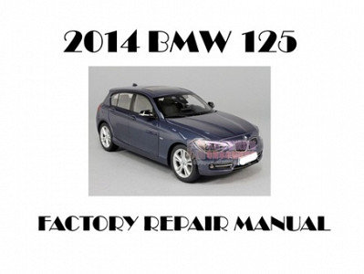 2014 BMW 125 repair manual