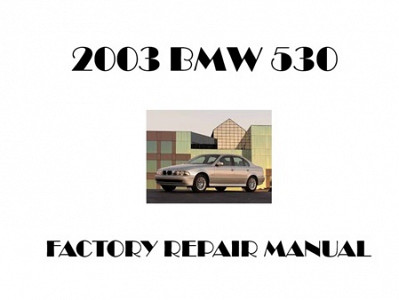 2003 BMW 530 repair manual
