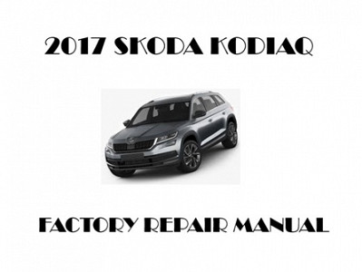 2017 Skoda Kodiaq repair manual