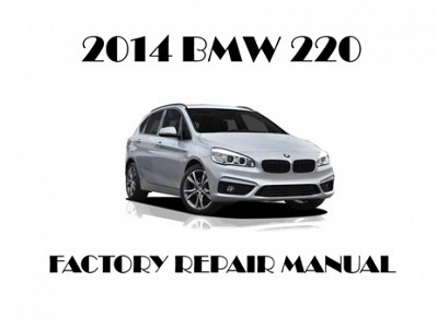 2014 BMW 220 repair manual