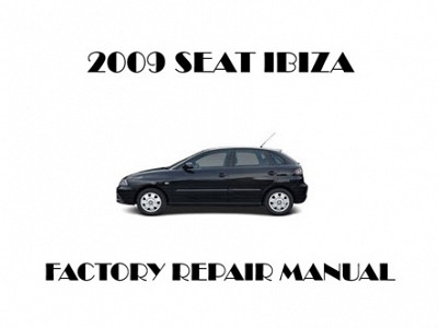 2009 Seat Ibiza repair manual