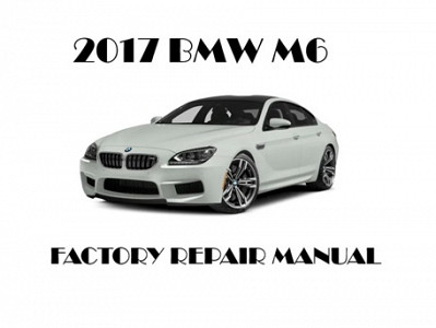 2017 BMW M6 repair manual
