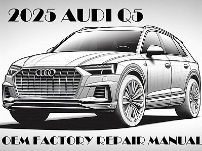 2025 Audi Q5 repair manual