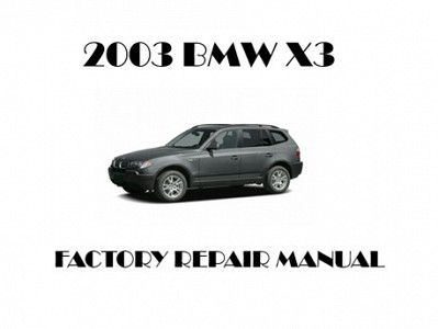 2003 BMW X3 repair manual