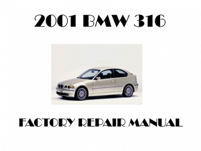 2001 BMW 316 repair manual